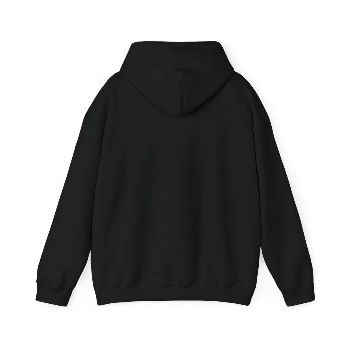 Treaty Oak Revival Merch Hoodie - alternate angle 1, merchandise